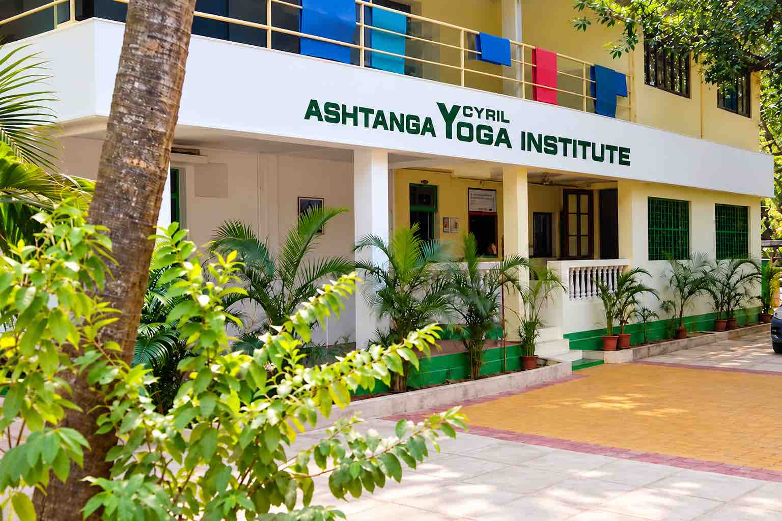 ashtanga cyril yoga institute